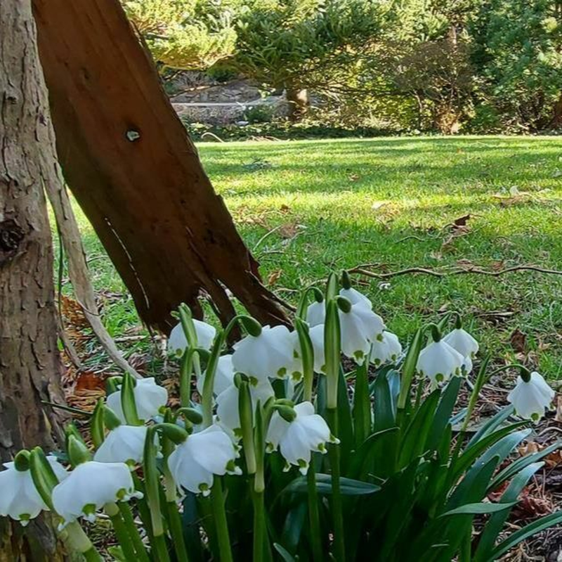 Obrázek epizody Odemykání meditační zahrady (kázání)