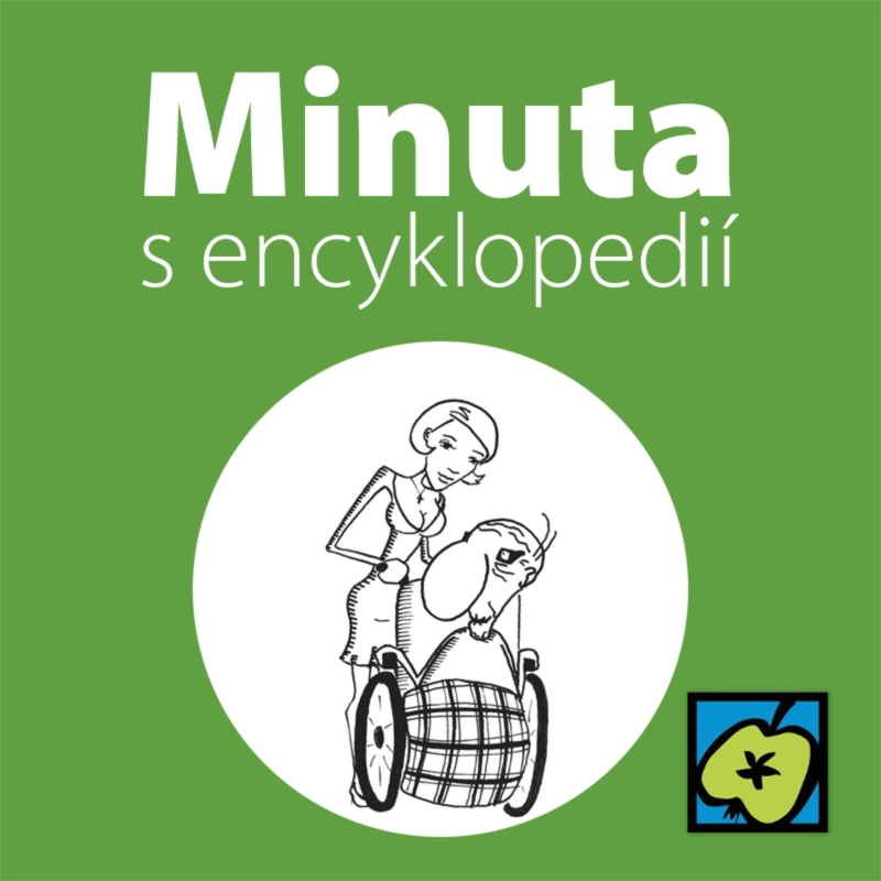 Obrázek epizody Invalidní vozík