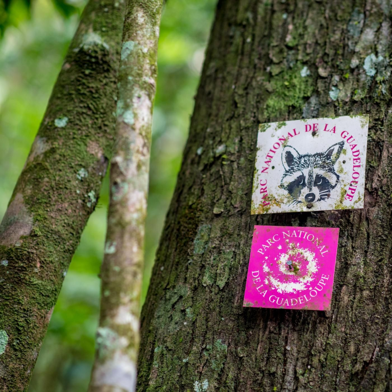 Obrázek epizody Stranger in Paradise