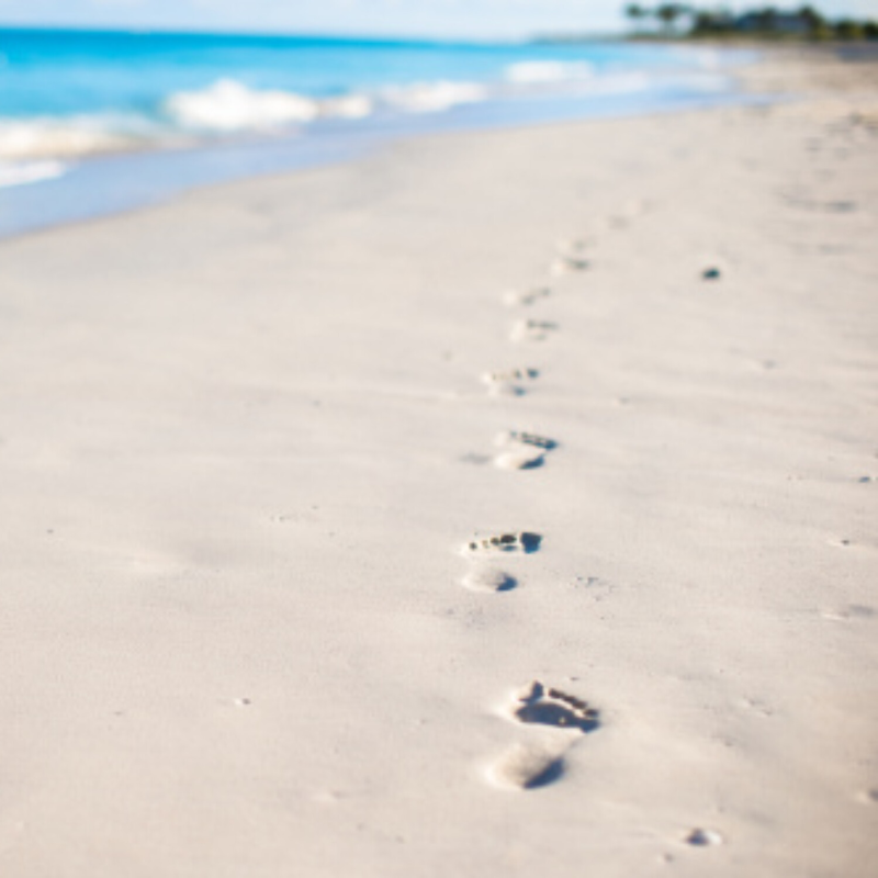 Obrázek epizody Následovat Ježíše