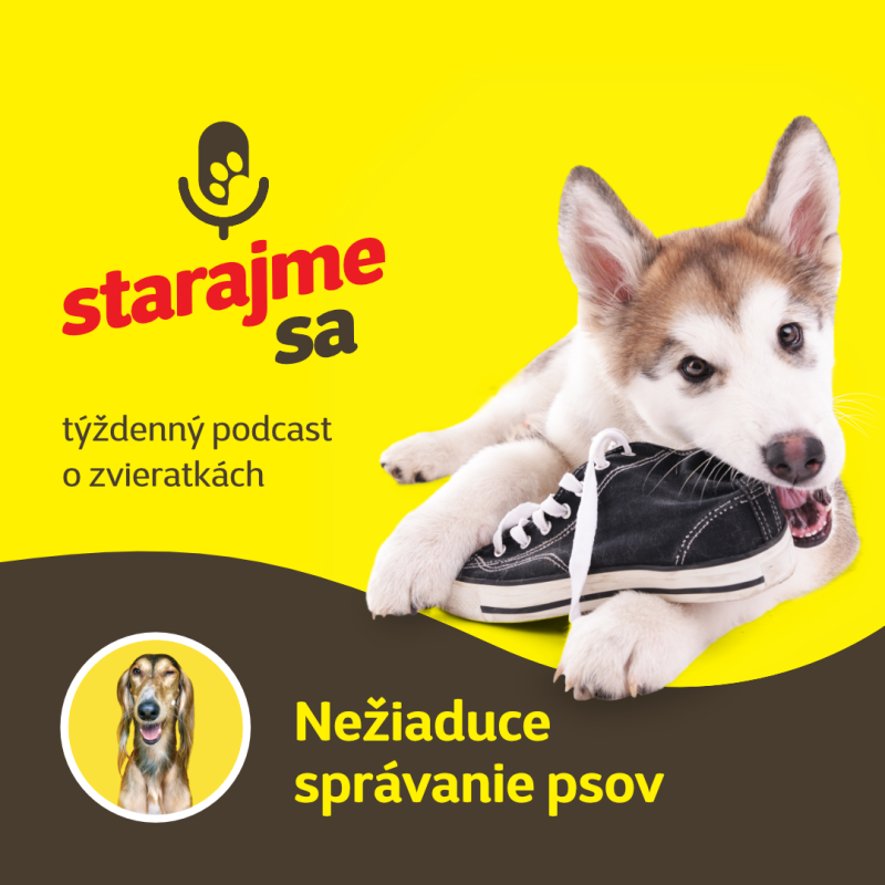 Obrázek epizody Psy: Nežiaduce správanie psov