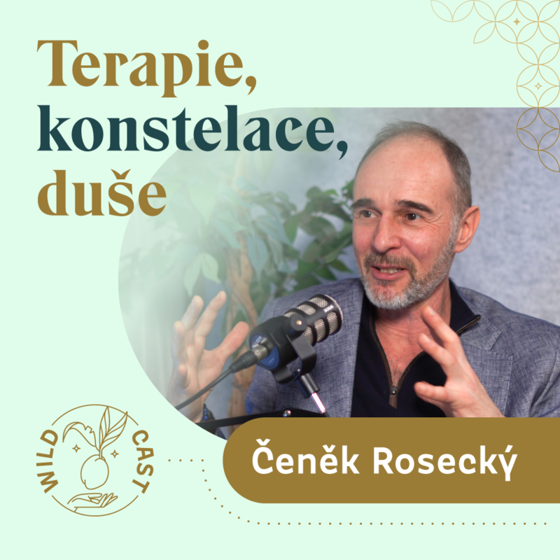 Obrázek epizody Jak zvládnout partnerské výzvy a růst - Čeněk Rosecký