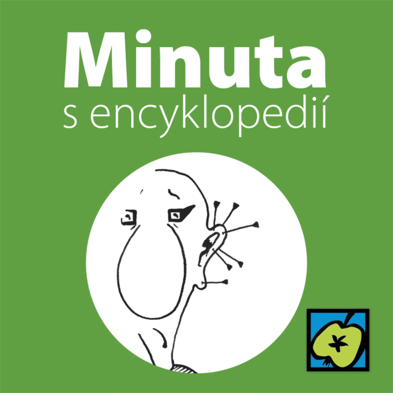 Obrázek epizody Akupunktura