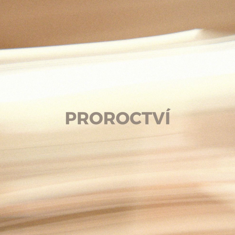 Obrázek epizody DARY DUCHA SVATÉHO | PROROCTVÍ