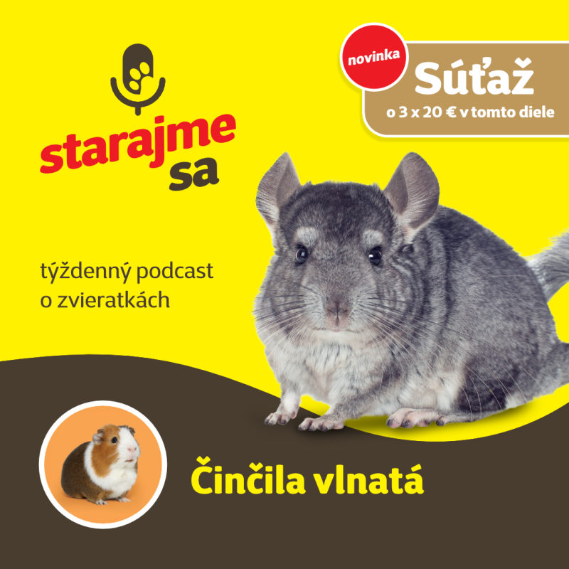 Obrázek epizody Drobné cicavce: Činčila vlnatá