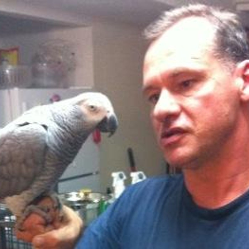 Obrázek epizody A Flock of Two