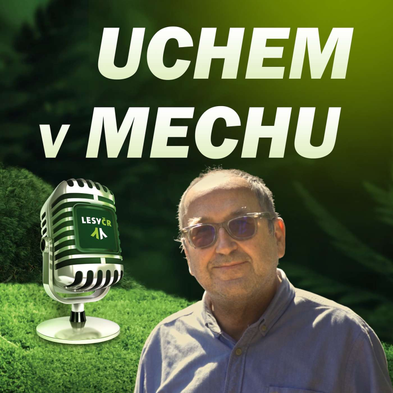 Obrázek epizody S Martinem Zajíčkem o akci Do lesů s Lesy ČR