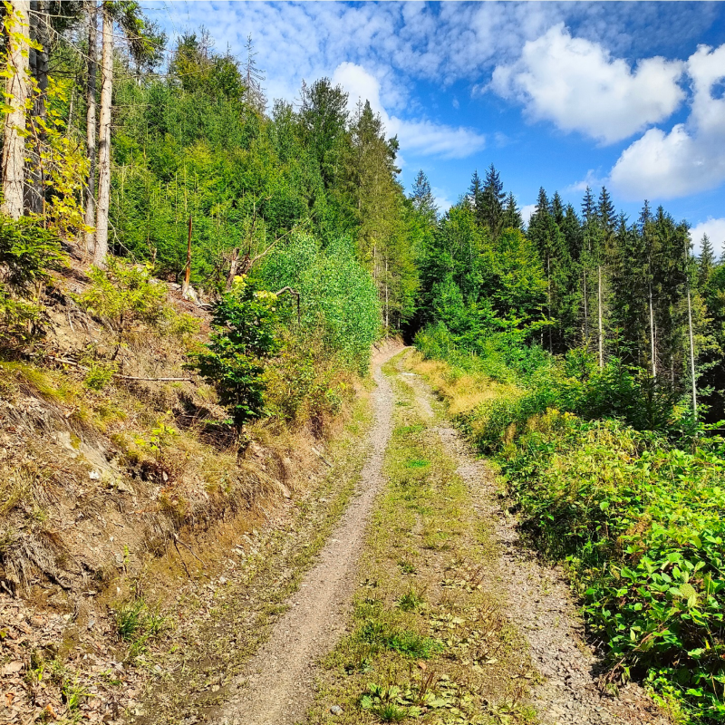 Obrázek epizody Tajemný monumentální hrad v srdci Krkonoš