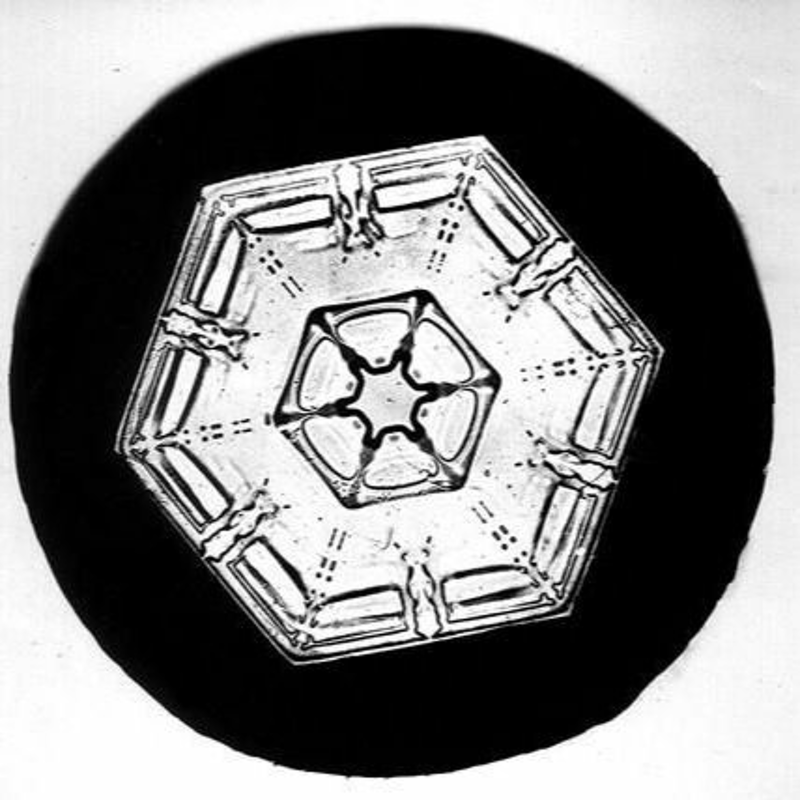 Obrázek epizody EPITOM - Allegory [ 2021 ]