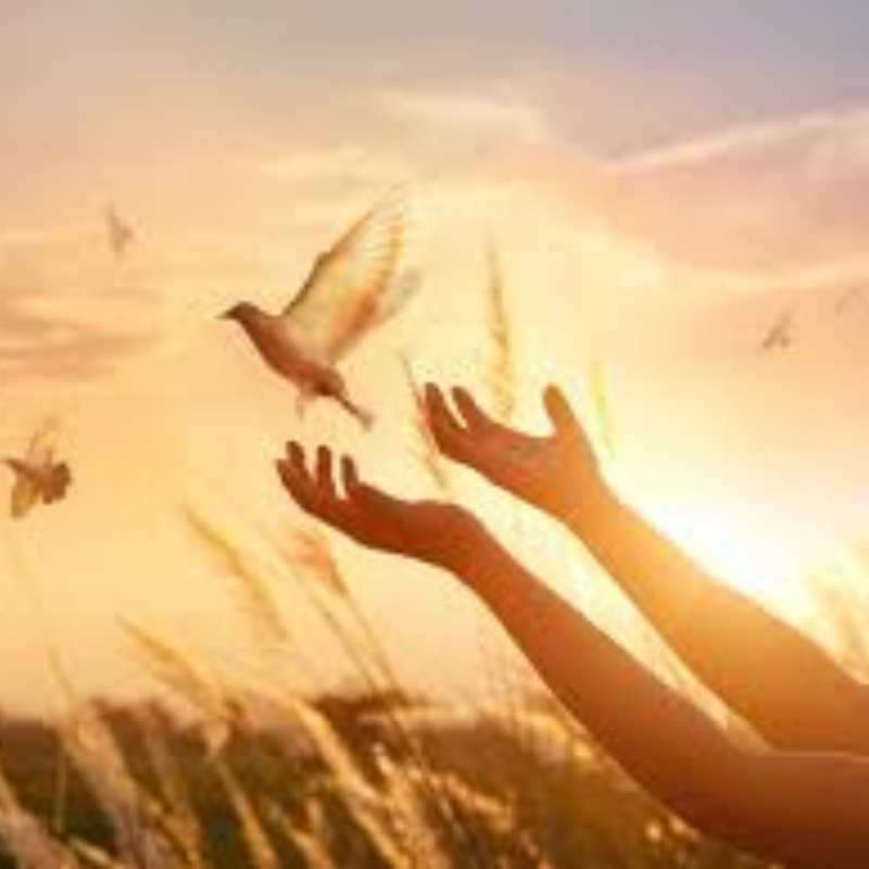 Obrázek epizody Bůh odpouští a čeká, že budeme i my odpouštět