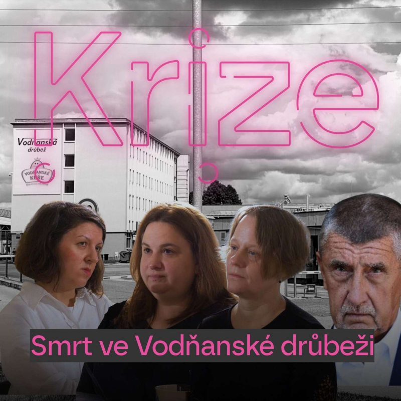 Obrázek epizody Smrt ve Vodňanské drůbeži
