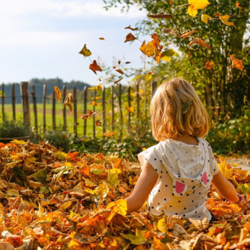 Obrázek epizody Povídky pro baterku