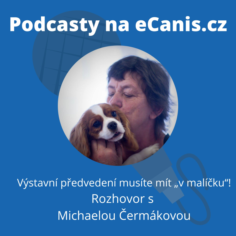 Obrázek epizody Výstavní předvedení musíte mít „v malíčku“!