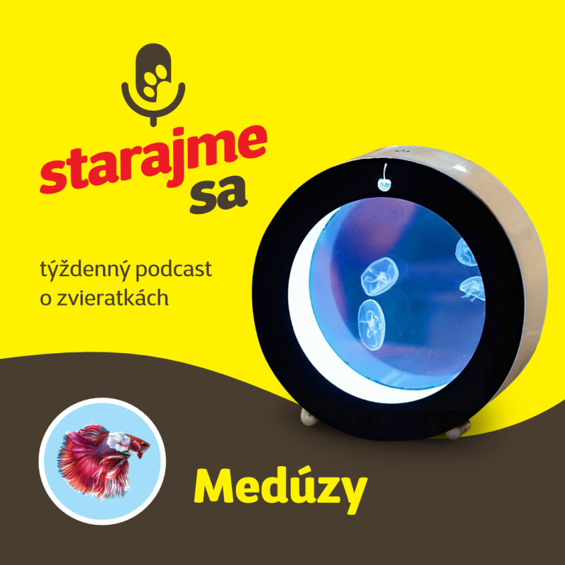 Obrázek epizody Akvaristika: Medúzy