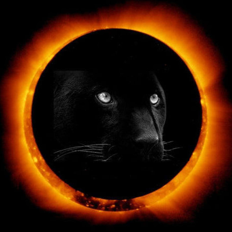 Obrázek epizody 01: Oběť nebo hrdina