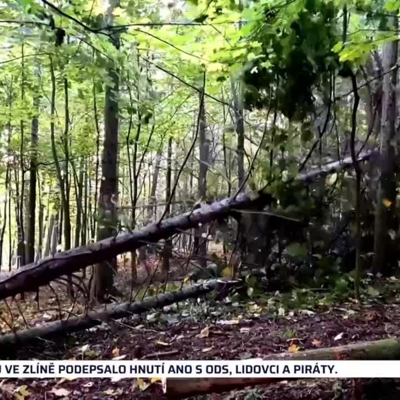 Obrázek epizody HLAVNÍ ZPRÁVY (1014)