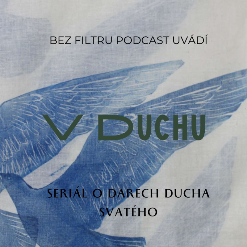 Obrázek epizody V DUCHU I: Duch svatý má z těch tří největší smysl pro humor