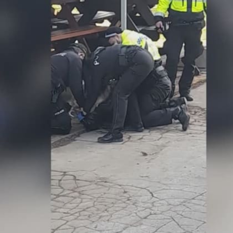 Obrázek epizody Zákrok ostravských strážníků