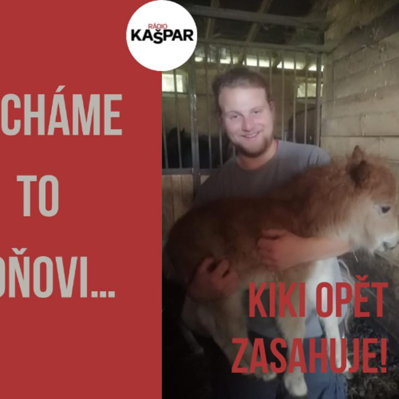 Obrázek epizody 2025-3-6-A