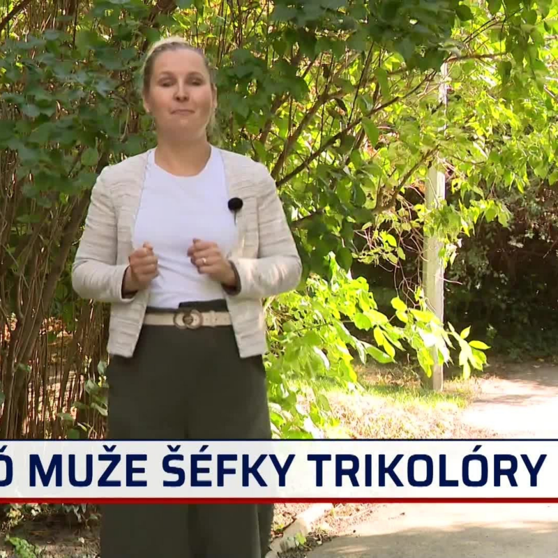 Obrázek epizody Rozhovor s Janem Majerem