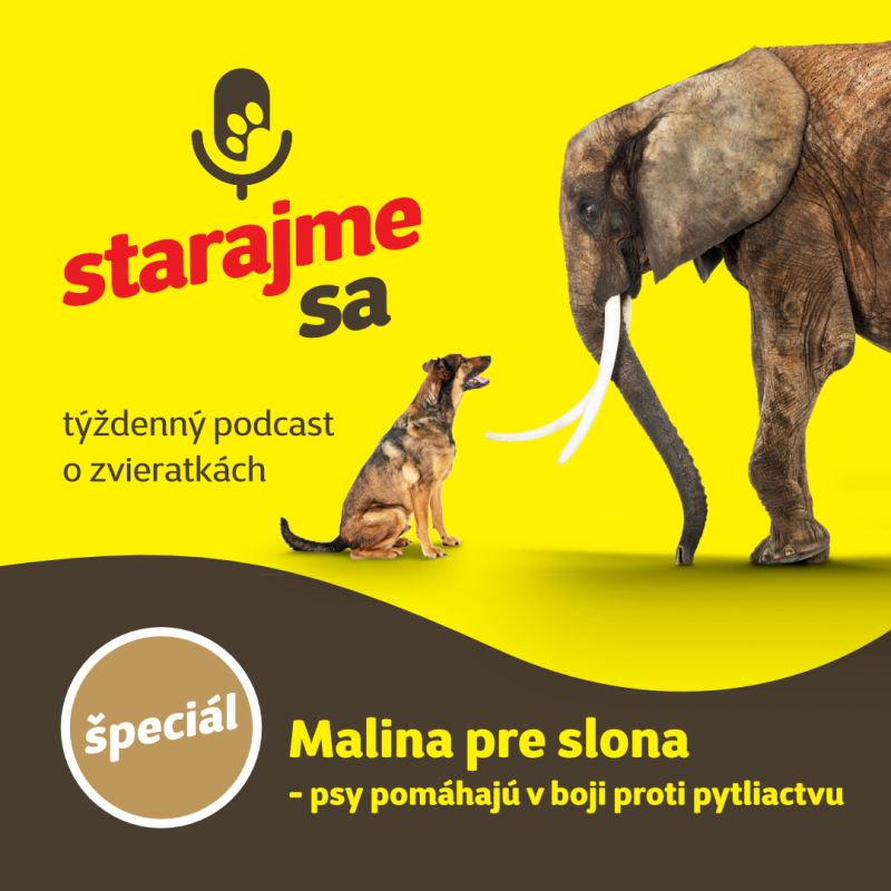 Obrázek epizody Špeciál: Malina pre slona - psy pomáhajú v boji proti pytliactvu
