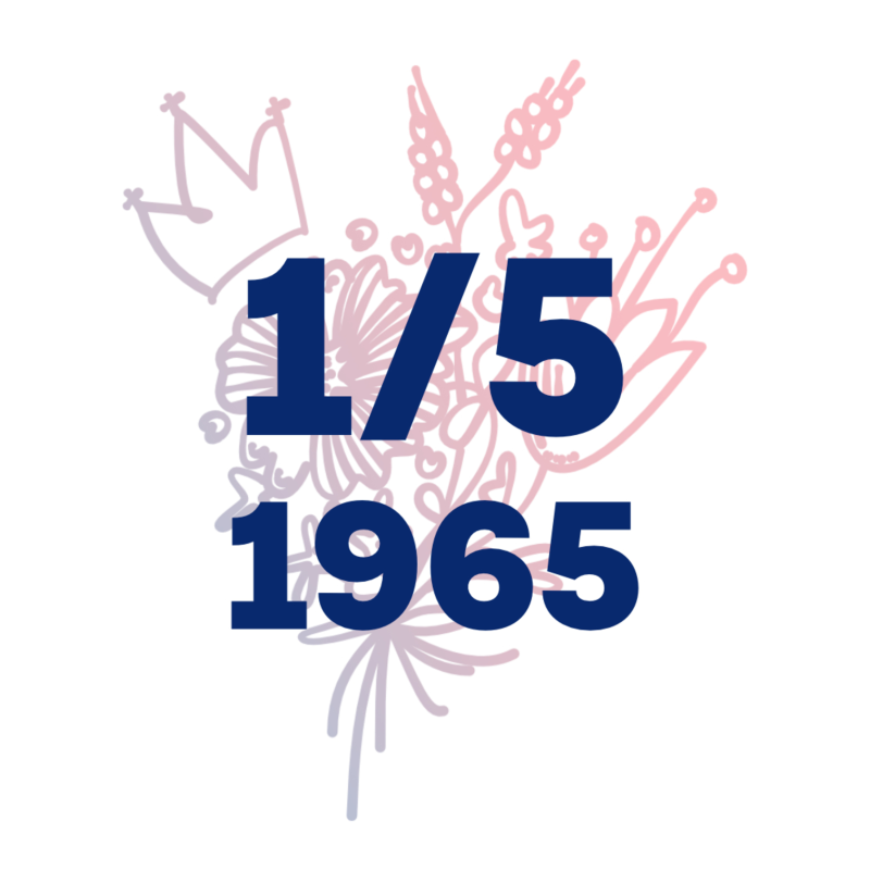 Obrázek epizody Majáles 🌸