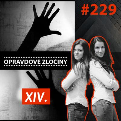 Obrázek epizody #242 - Vaše tajemné příběhy XVI.