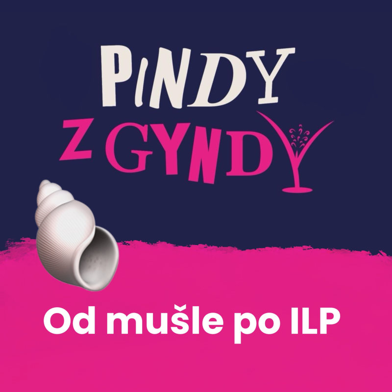 Obrázek epizody Od mušle po IPL