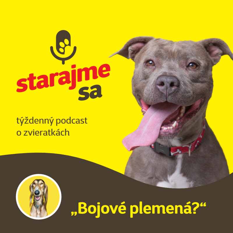 Obrázek epizody Psy: ,,Bojové plemená?”