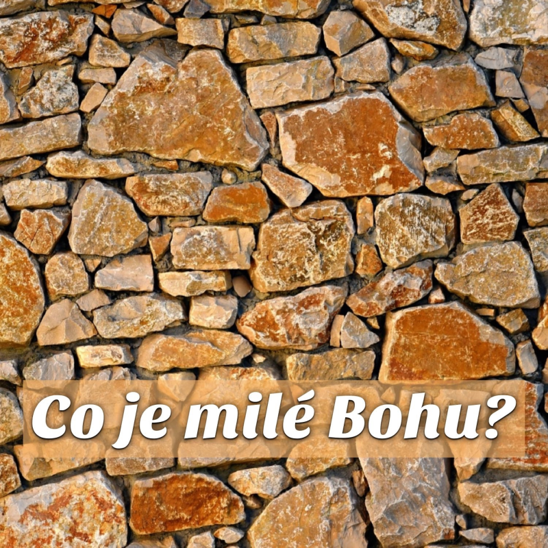 Obrázek epizody Co je milé Bohu? - Stanislav Bocek (31.10.2021)