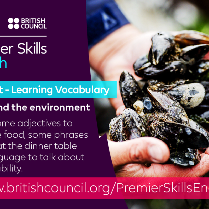 Obrázek epizody Learning Vocabulary: Food and the environment