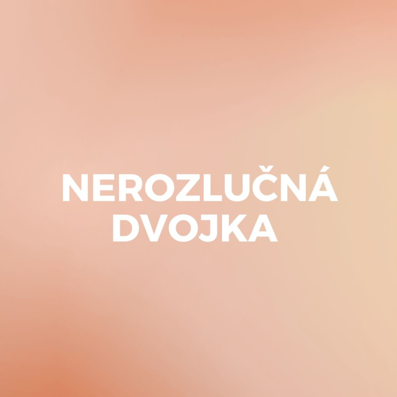 Obrázek epizody NEROZLUČNÁ DVOJKA