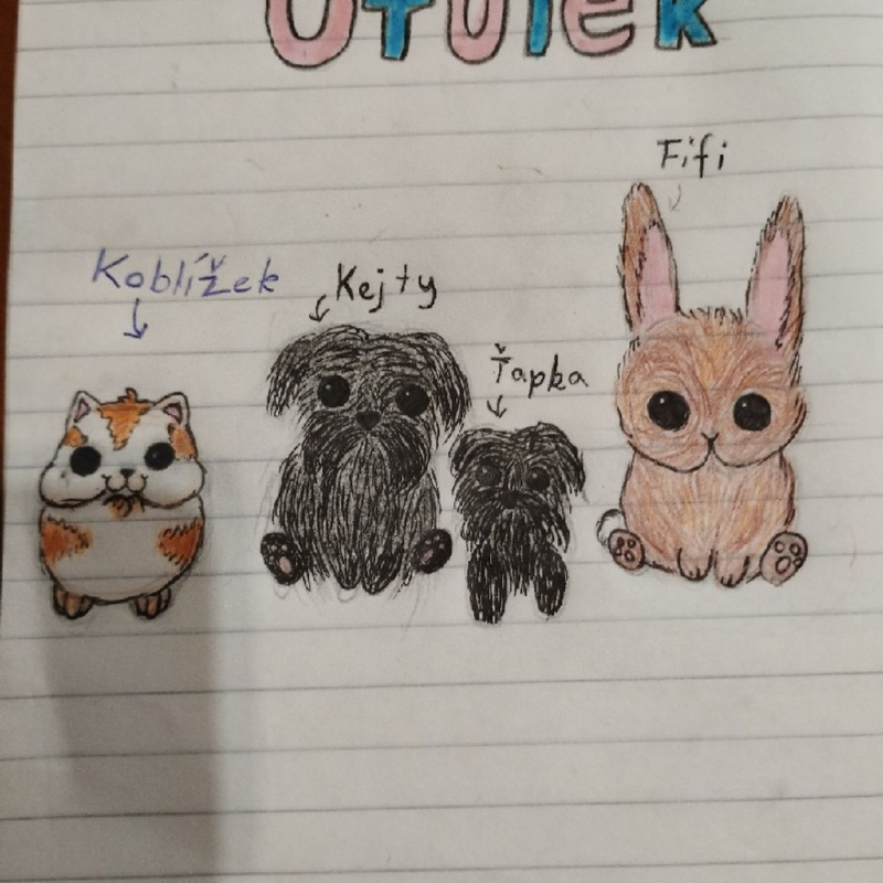 Obrázek epizody Zvířecí útulek úvod