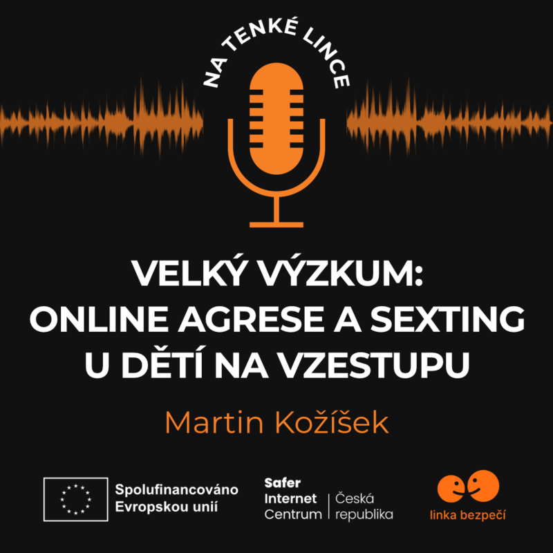 Obrázek epizody Velký výzkum: Online agrese a sexting u dětí na vzestupu