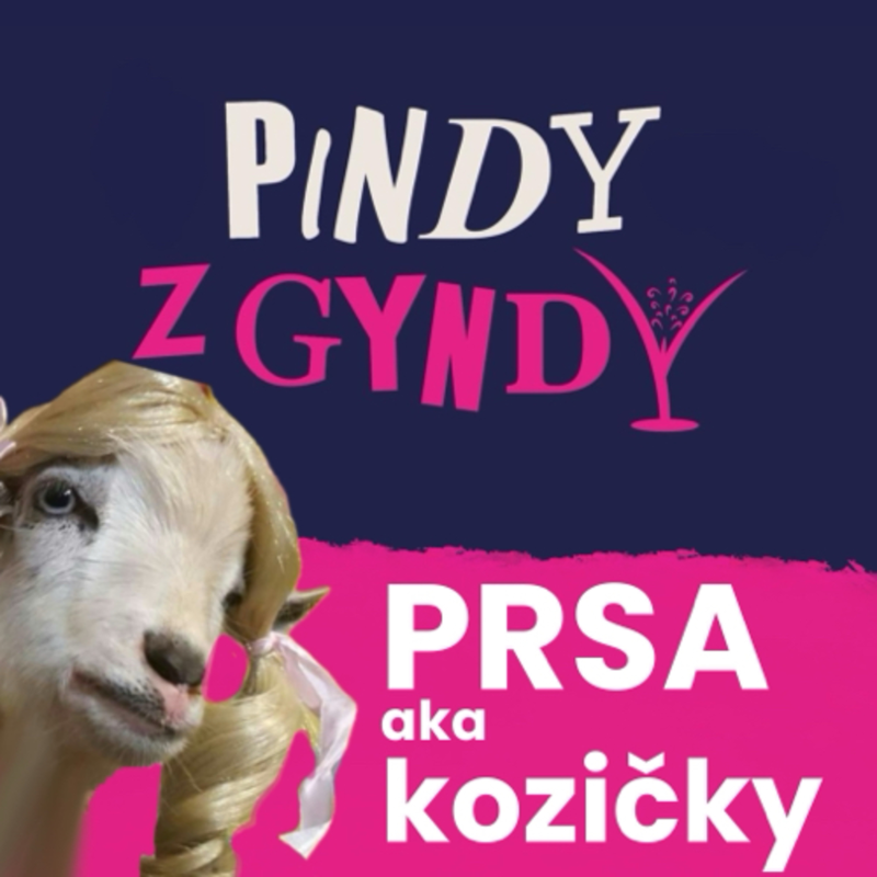 Obrázek epizody PRSA aka kozičky