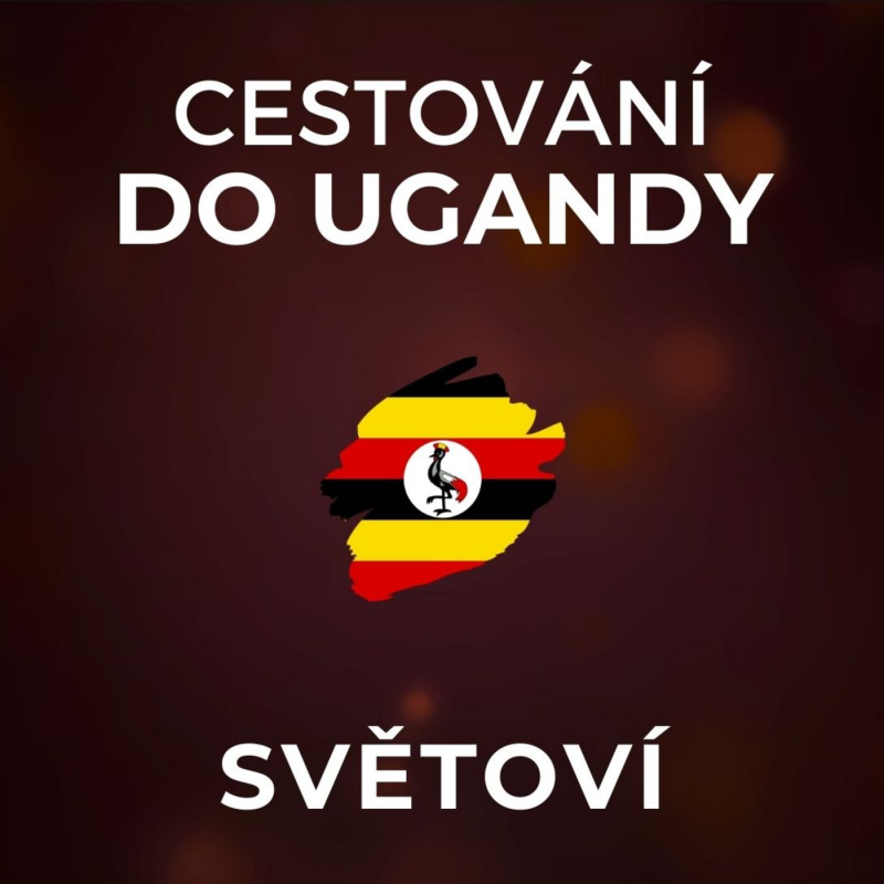 Obrázek epizody UGANDA: Hodina s gorilami stojí 800 dolarů a uběhne jako pár minut. Podobají se lidem. | SVĚTOVÍ