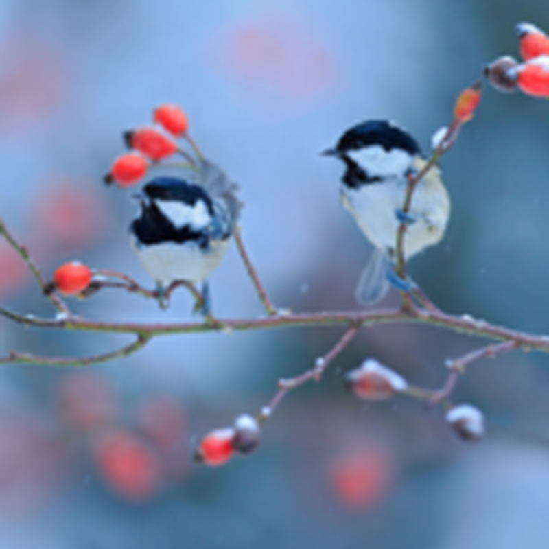 Obrázek epizody HOROSKOPY: Raci, dnešek přeje rozličným životním průlomům. Jedni mají šanci na lásku, jiní prožívají zklamání