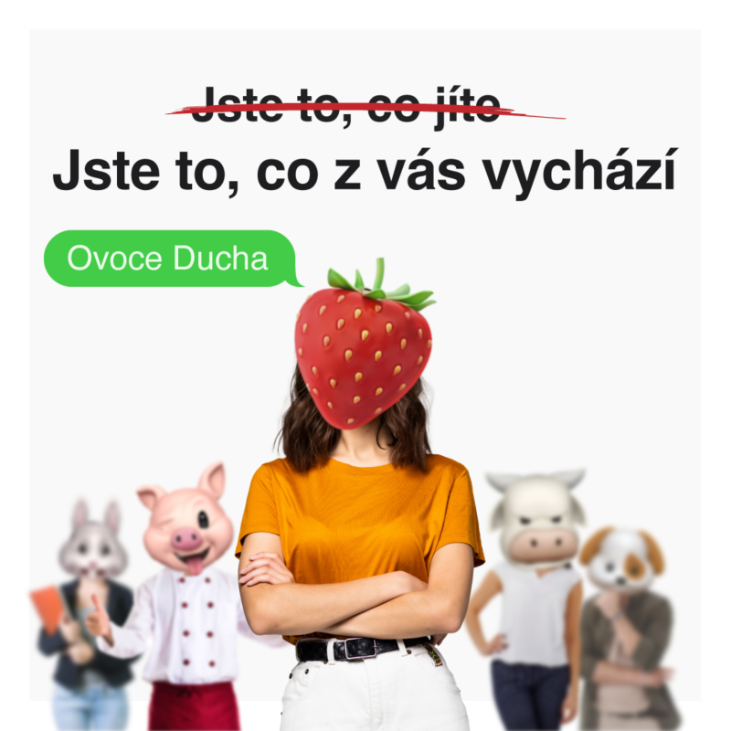 Obrázek epizody Láska 🍓 – Landen a Jenny Llamas