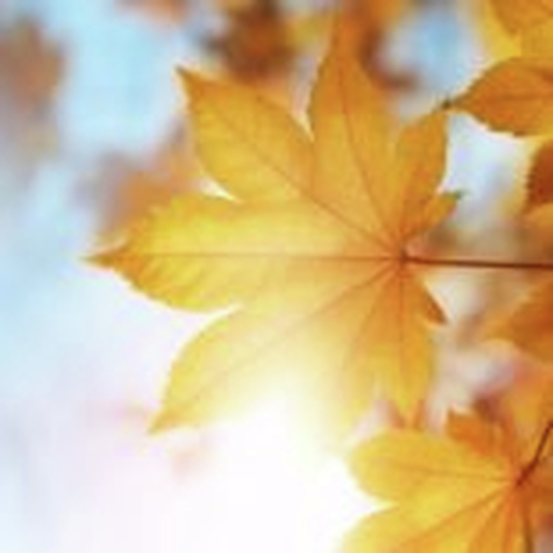 Obrázek epizody HOROSKOPY: Váhy, jedni mají šanci na lásku, zatímco jiní mohou prožívat milostná zklamání