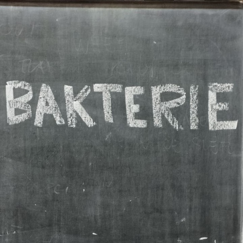 Obrázek epizody Bakterie - odolní superhrdinové