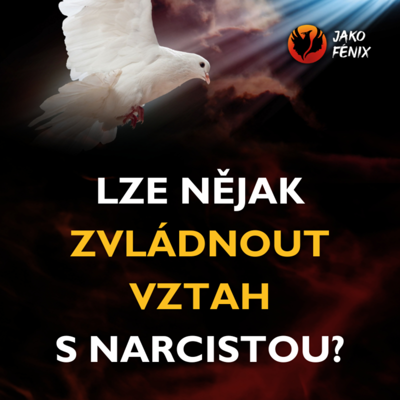 Obrázek epizody JAK VLASTNĚ DOOPRAVDY VYPADAJÍ NARCISTICKÉ VZTAHY?