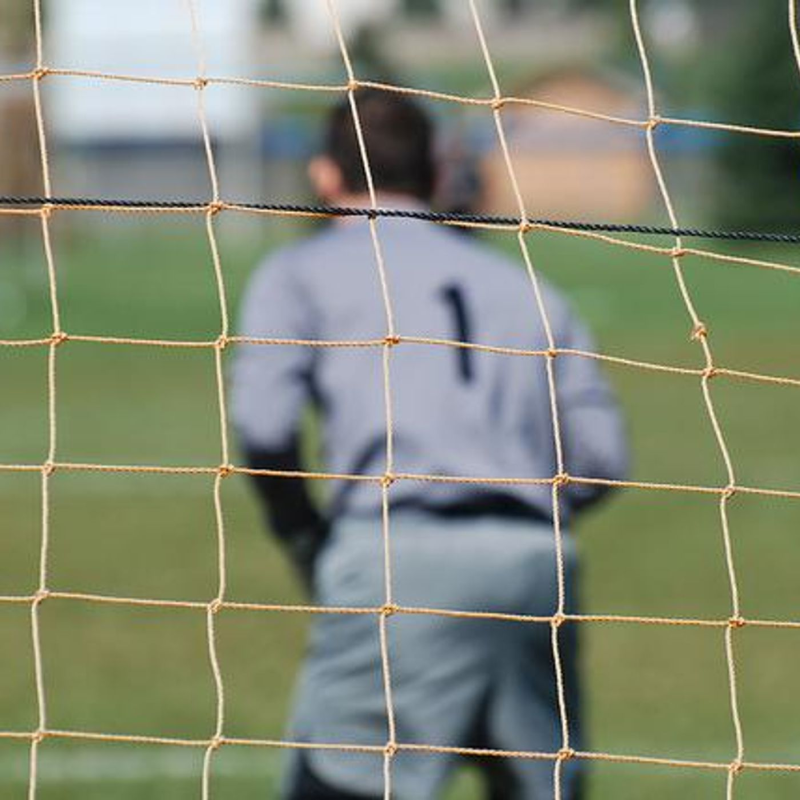 Obrázek epizody Radiolab Presents: The Loneliness of the Goalkeeper