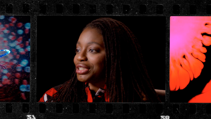 Obrázek epizody Why do some bodies respond differently to disease? | Erika Moore