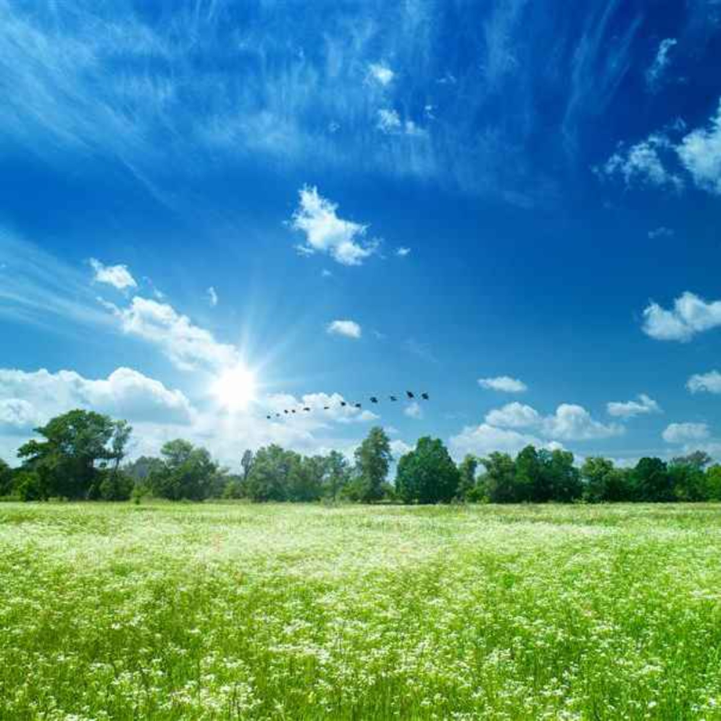 Obrázek epizody Horká kaše speciál: Jak se měří kvalita ovzduší