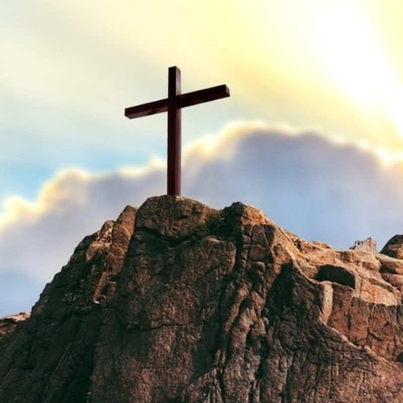 Obrázek epizody Dáma vyléčena z rakoviny prsu 4. stupně.