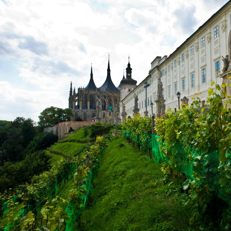 Obrázek epizody Případ Kutnohorské sekty se rozrůstá. Kvůli umučení v lese půjde k soudu šest lidí