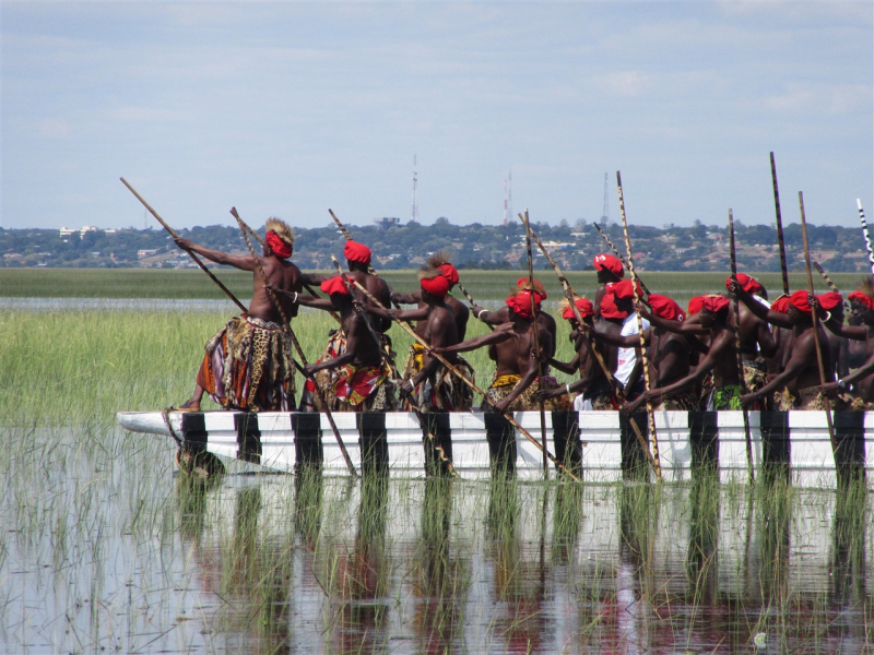 Obrázek epizody Království za pakoně!