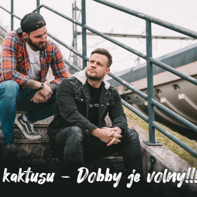 Obrázek epizody #11 Příběhy u kaktusu - Dobby je volný /// Nemůžeš odsuzoval obdařené muže | Dlouhý Široký