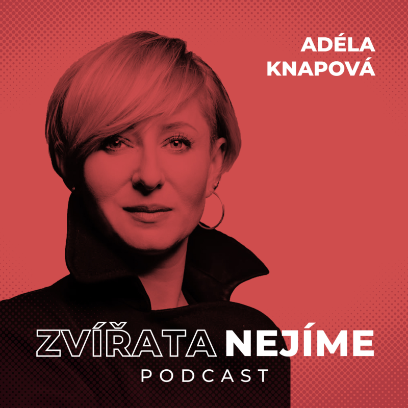 Obrázek epizody Adéla Knapová, reportérka Reflexu: Jak je těžké dostat se jako novinářka do chovů, slovník používaný v článcích o ptačí chřipce, kampaň Žeru maso