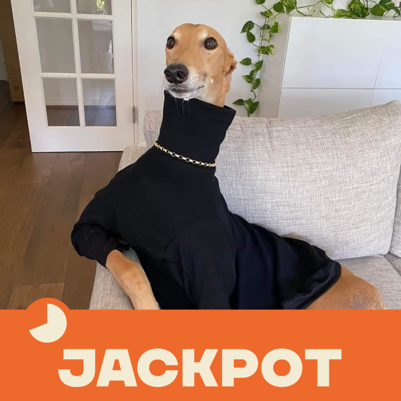 Obrázek epizody JACKPOT 66